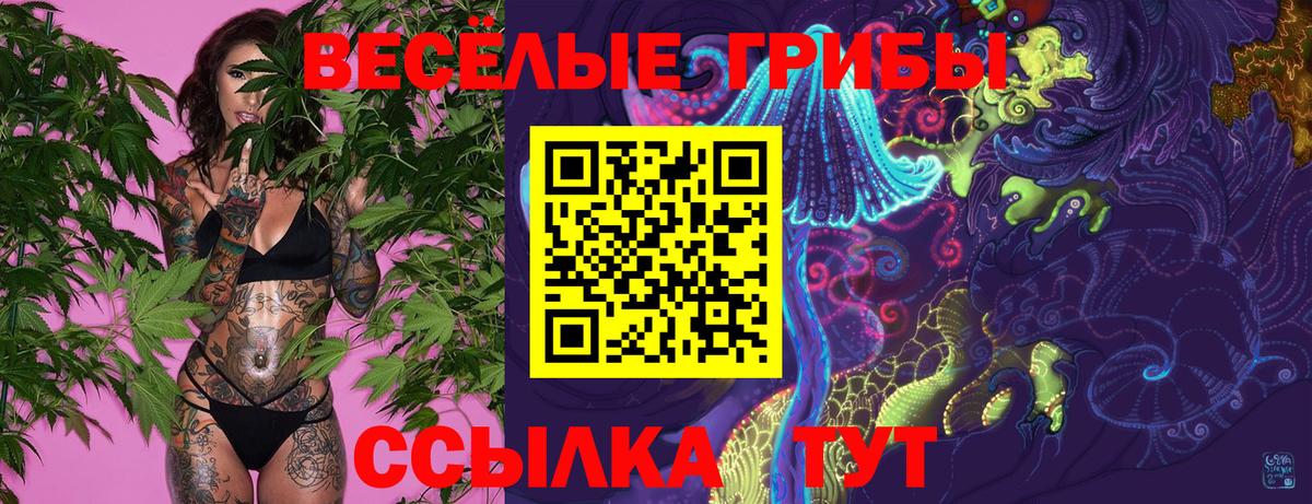 сколько стоит  Псилоцибиновые грибы Cubensis  Вход с VPN  Пушкино 