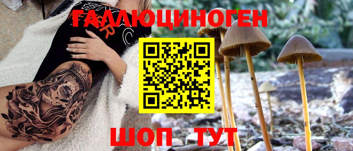 Галлюциногенные грибы MAGIC MUSHROOMS Пушкино